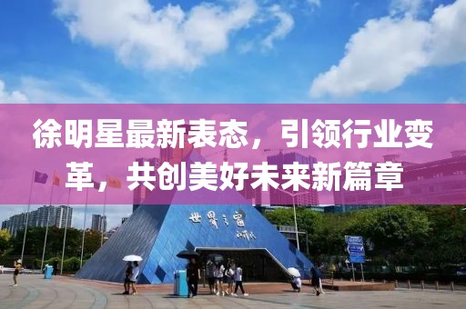 徐明星最新表态，引领行业变革，共创美好未来新篇章