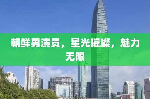 朝鲜男演员，星光璀璨，魅力无限