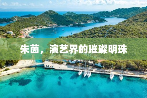 朱茵，演艺界的璀璨明珠
