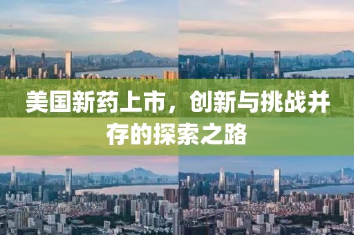 美国新药上市，创新与挑战并存的探索之路