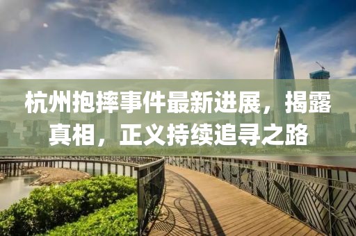 杭州抱摔事件最新进展，揭露真相，正义持续追寻之路