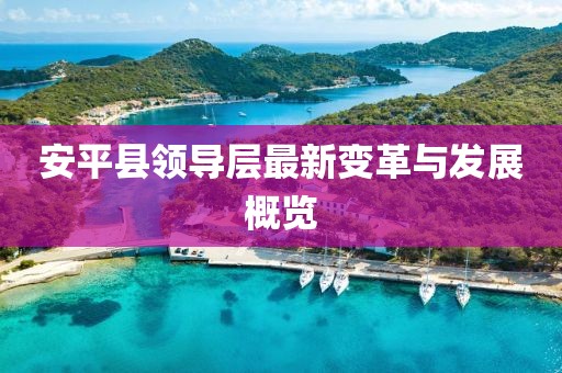安平县领导层最新变革与发展概览