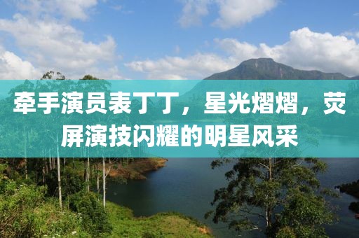 牵手演员表丁丁，星光熠熠，荧屏演技闪耀的明星风采