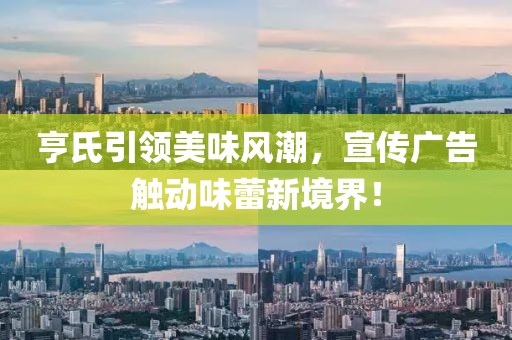 亨氏引领美味风潮，宣传广告触动味蕾新境界！