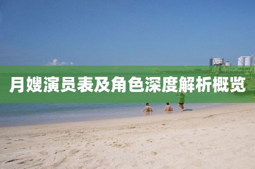 月嫂演员表及角色深度解析概览