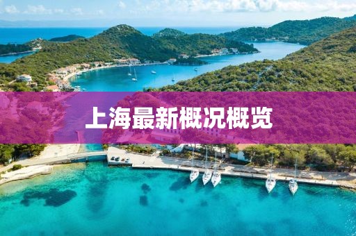 上海最新概况概览