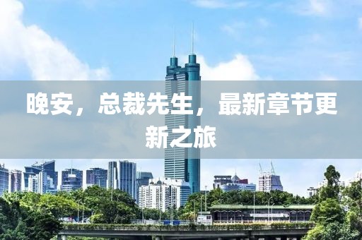 晚安，总裁先生，最新章节更新之旅