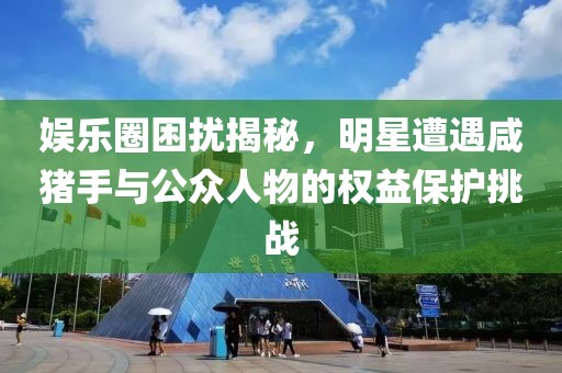 娱乐圈困扰揭秘，明星遭遇咸猪手与公众人物的权益保护挑战