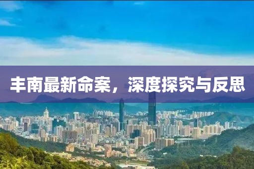 丰南最新命案，深度探究与反思
