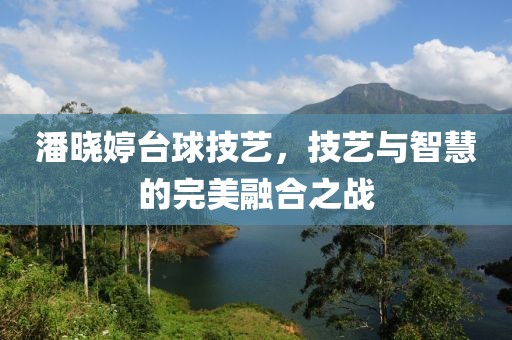 潘晓婷台球技艺，技艺与智慧的完美融合之战