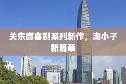 关东微喜剧系列新作，淘小子新篇章