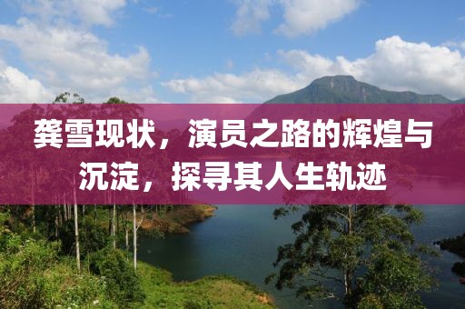 龚雪现状，演员之路的辉煌与沉淀，探寻其人生轨迹