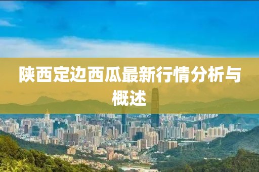 陕西定边西瓜最新行情分析与概述