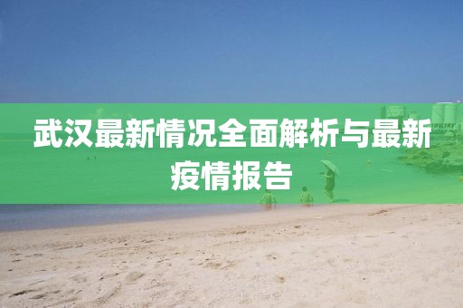 武汉最新情况全面解析与最新疫情报告