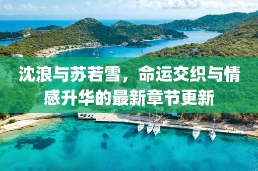 沈浪与苏若雪，命运交织与情感升华的最新章节更新