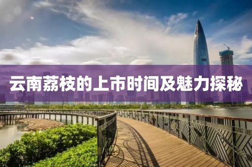 云南荔枝的上市时间及魅力探秘