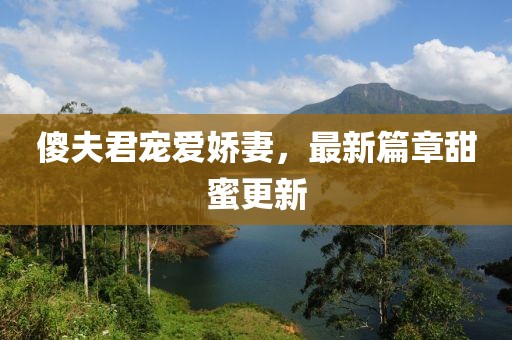 傻夫君宠爱娇妻，最新篇章甜蜜更新