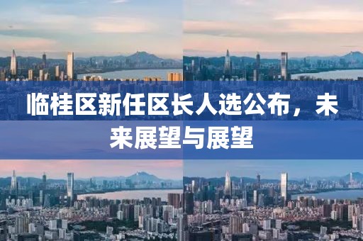 临桂区新任区长人选公布，未来展望与展望