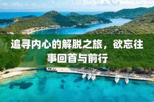 追寻内心的解脱之旅，欲忘往事回首与前行