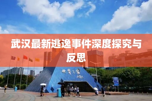 武汉最新逃逸事件深度探究与反思