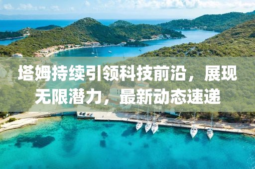 塔姆持续引领科技前沿，展现无限潜力，最新动态速递