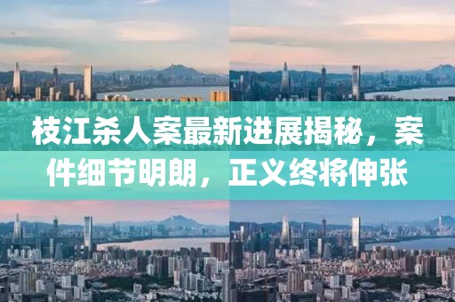 枝江杀人案最新进展揭秘，案件细节明朗，正义终将伸张