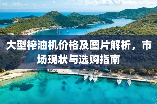 大型榨油机价格及图片解析，市场现状与选购指南