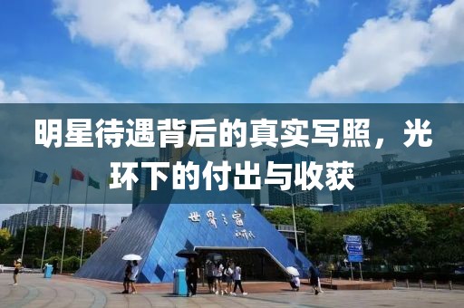 明星待遇背后的真实写照，光环下的付出与收获