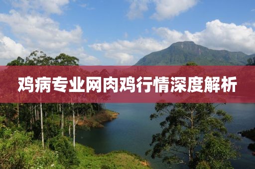 新闻资讯 第362页