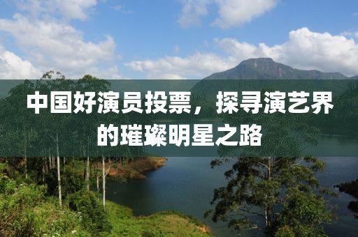 中国好演员投票，探寻演艺界的璀璨明星之路
