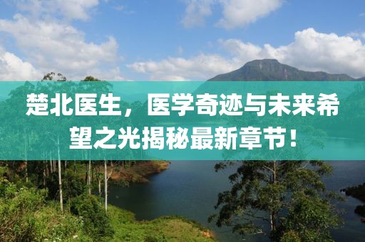 楚北医生，医学奇迹与未来希望之光揭秘最新章节！