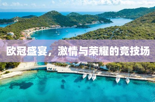 欧冠盛宴，激情与荣耀的竞技场