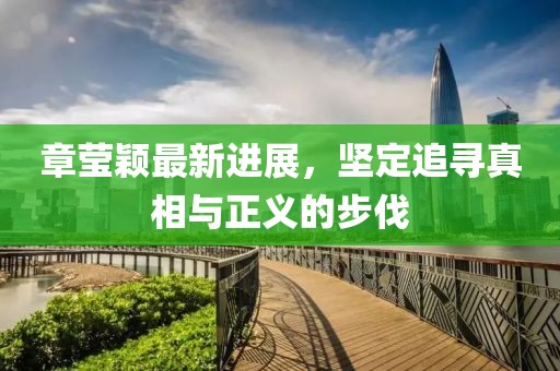 章莹颖最新进展，坚定追寻真相与正义的步伐