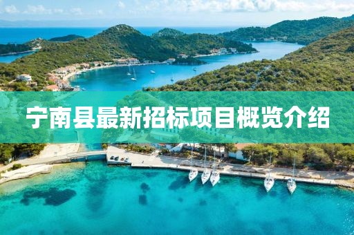 宁南县最新招标项目概览介绍