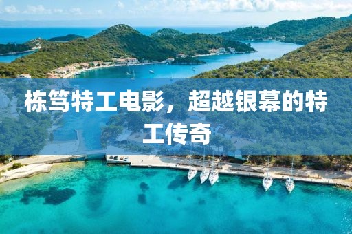 栋笃特工电影，超越银幕的特工传奇