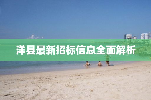 洋县最新招标信息全面解析