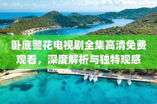 卧底警花电视剧全集高清免费观看，深度解析与独特观感