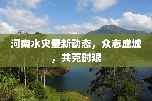 河南水灾最新动态，众志成城，共克时艰