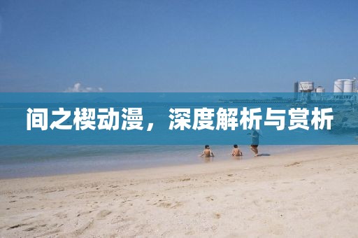 间之楔动漫，深度解析与赏析