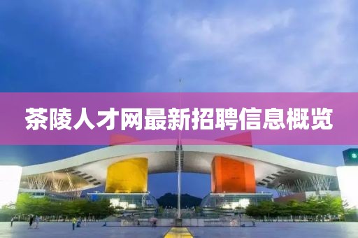茶陵人才网最新招聘信息概览