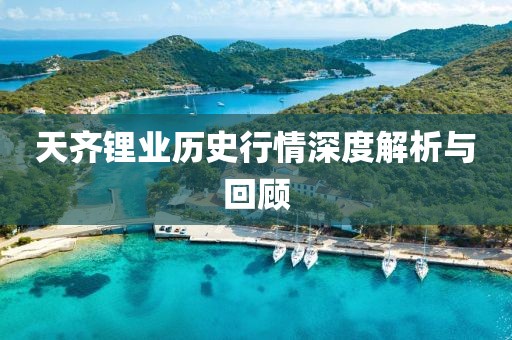 天齐锂业历史行情深度解析与回顾