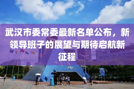 武汉市委常委最新名单公布，新领导班子的展望与期待启航新征程