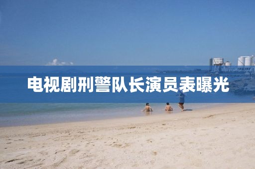 电视剧刑警队长演员表曝光