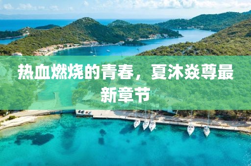 热血燃烧的青春，夏沐焱尊最新章节
