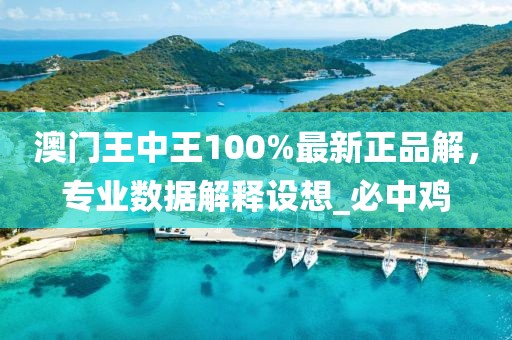 澳门王中王100%最新正品解，专业数据解释设想_必中鸡