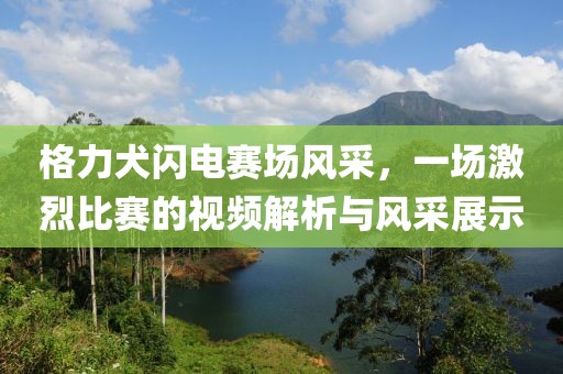 格力犬闪电赛场风采，一场激烈比赛的视频解析与风采展示