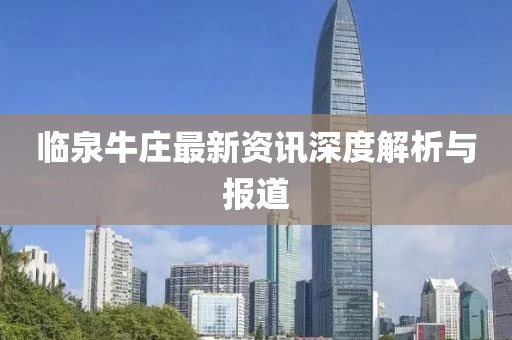 临泉牛庄最新资讯深度解析与报道