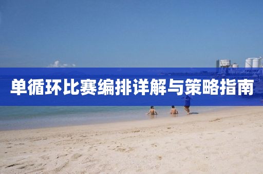 单循环比赛编排详解与策略指南