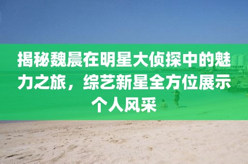 揭秘魏晨在明星大侦探中的魅力之旅，综艺新星全方位展示个人风采