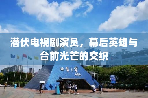 潜伏电视剧演员，幕后英雄与台前光芒的交织